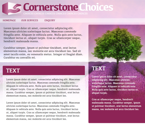Cornerstone Website