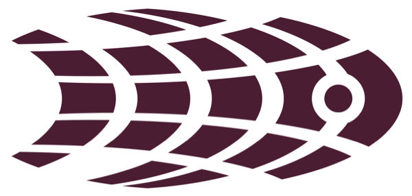 Widernet logo